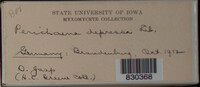Image Associated With the Occurence